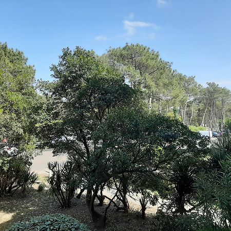 Studio Cosy Proche Ocean Et Commerces, Parfait Pour Des Vacances A Deux! - Fr-1-239-437 Seignosse Exterior photo