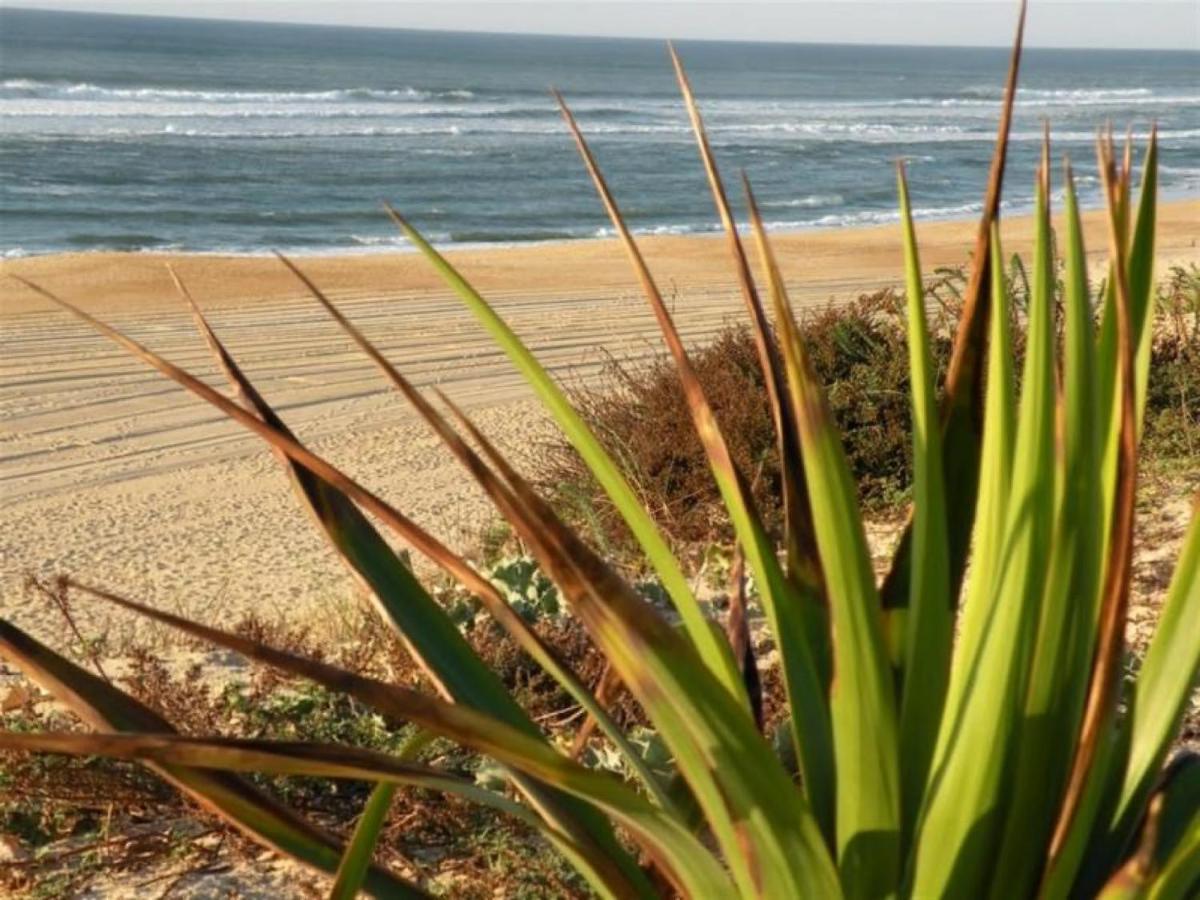 Studio Cosy Proche Ocean Et Commerces, Parfait Pour Des Vacances A Deux! - Fr-1-239-437 Seignosse Exterior photo