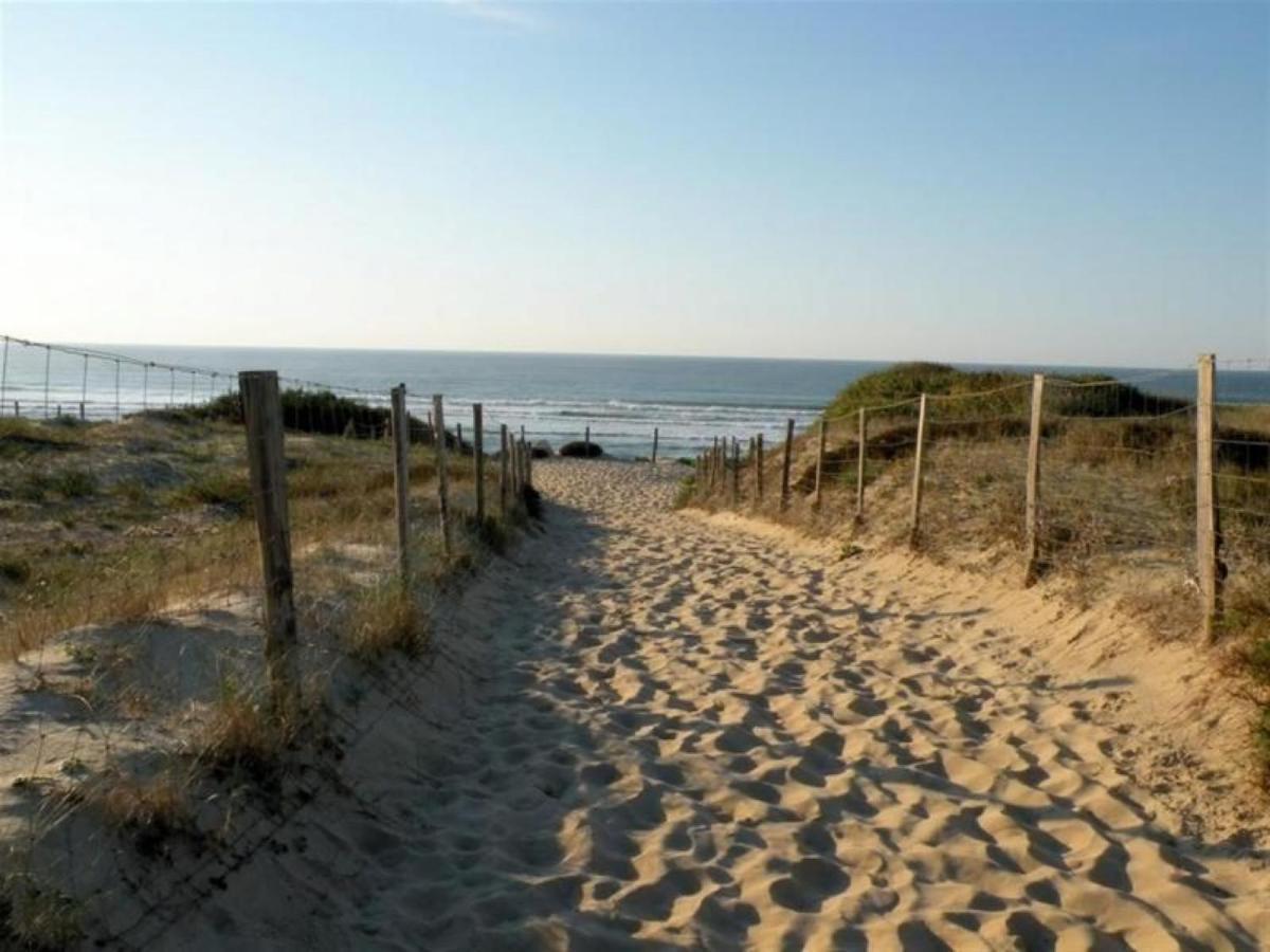Studio Cosy Proche Ocean Et Commerces, Parfait Pour Des Vacances A Deux! - Fr-1-239-437 Seignosse Exterior photo