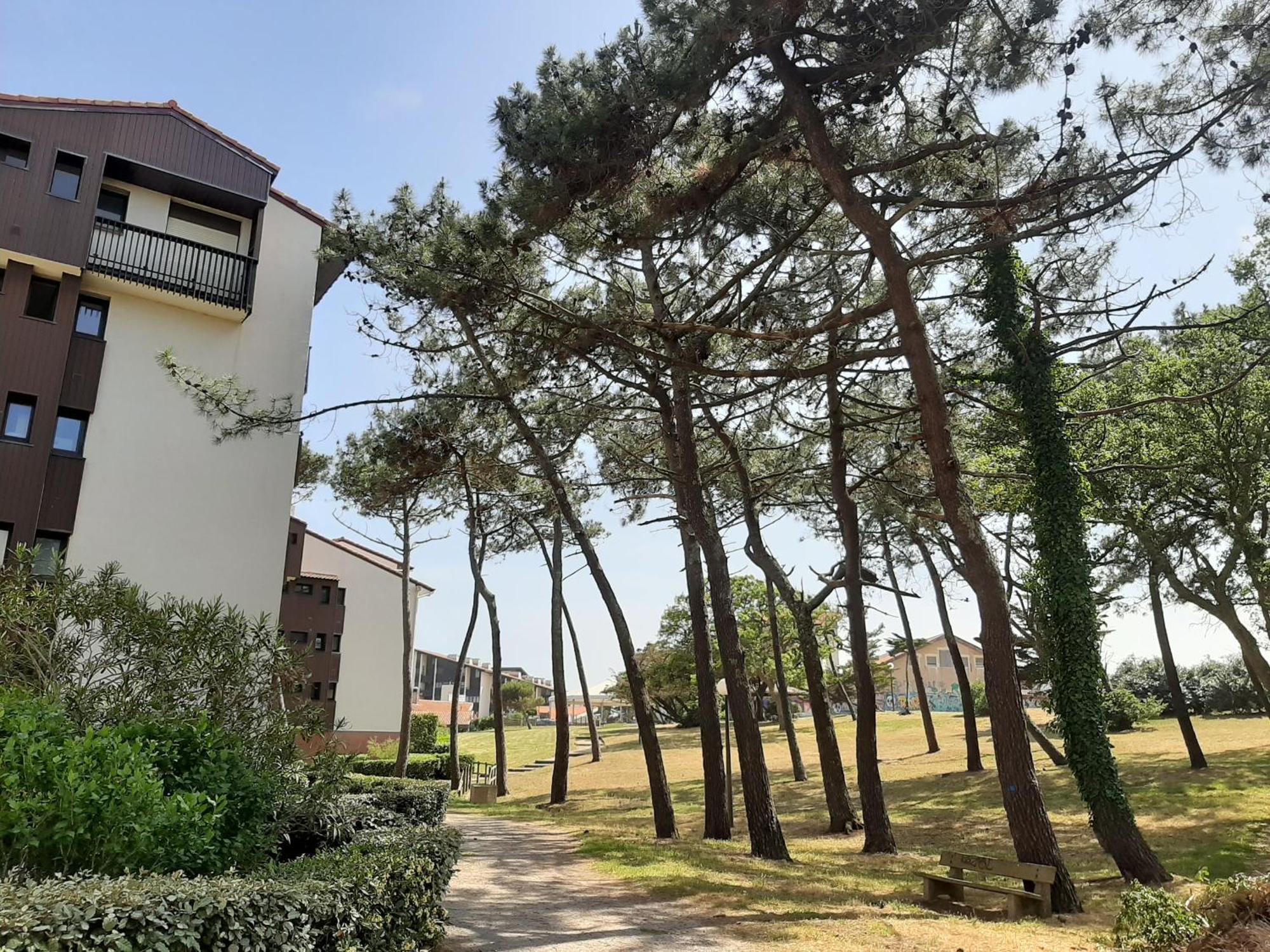 Studio Cosy Proche Ocean Et Commerces, Parfait Pour Des Vacances A Deux! - Fr-1-239-437 Seignosse Exterior photo